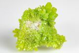 Apple-Green Pyromorphite Crystal Cluster - China #179791-1
